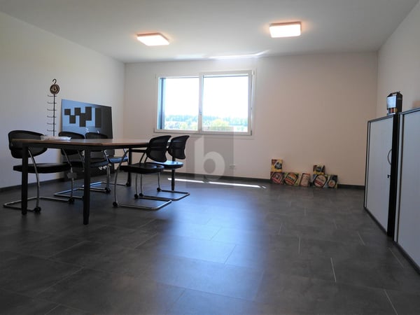 FÜR AUTOSAMMLER, MIT LIFT BIS 3 T BELASTUNG 5