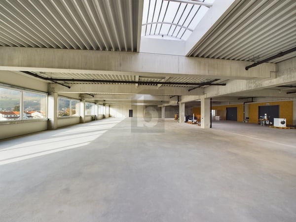 RIESIGE MONTAGEHALLE, IDEAL FÜR IHRE UNTERNEHMUNG 1