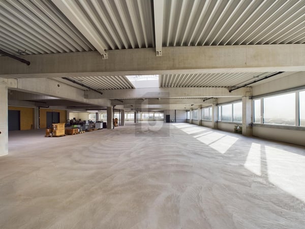 RIESIGE MONTAGEHALLE, IDEAL FÜR IHRE UNTERNEHMUNG 3