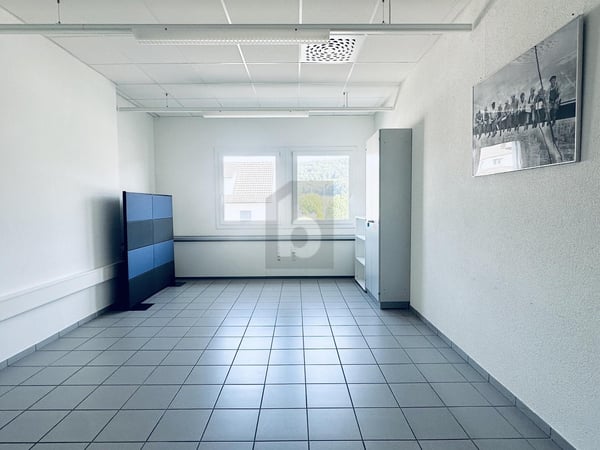 MODERN, HELL UND TOP LAGE 4