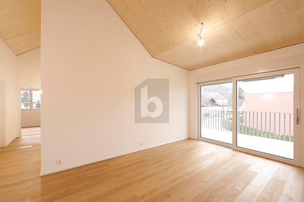 HOCHWERTIGER NEUBAU AN SONNIGER LAGE! 2