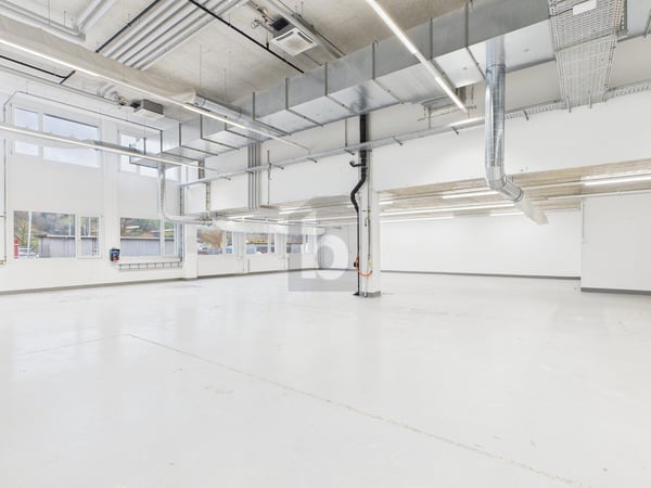 KLIMATISIERT MIT HOHEN DECKEN 5