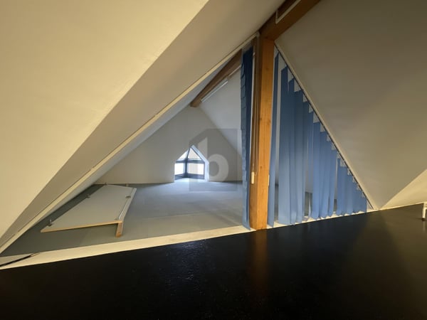 EINZIGARTIGE ATMOSPHÄRE ZUR VIELSEITIGEN NUTZUNG 5