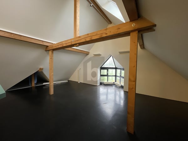 EINZIGARTIGE ATMOSPHÄRE ZUR VIELSEITIGEN NUTZUNG 3