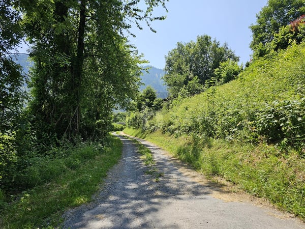 PROJET AVEC PERMIS EN FORCE ET VUE SPLENDIDE ! 3