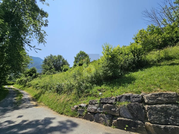 PROJET AVEC PERMIS EN FORCE ET VUE SPLENDIDE ! 2