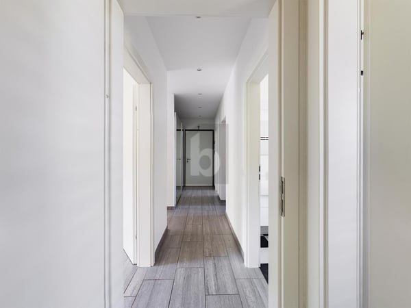 LUMINOSO E RISTRUTTURATO 3