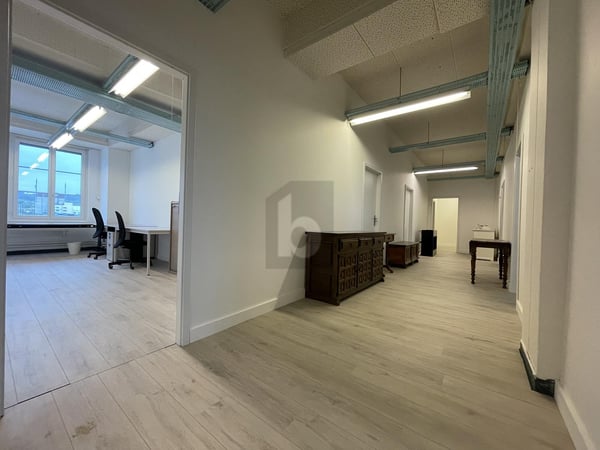 IHR NEUER GESCHÄFTSSTANDORT IM STEUERPARADIES 3