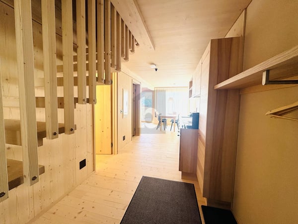 HERRLICHE AUSSICHT AUF DER RIGI 2