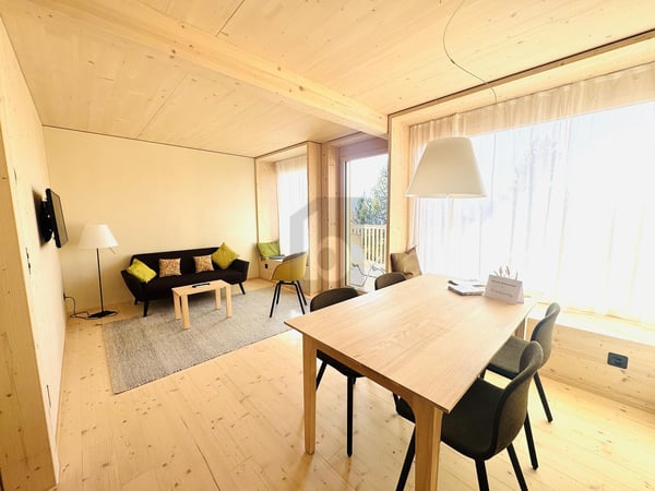 HERRLICHE AUSSICHT AUF DER RIGI 3