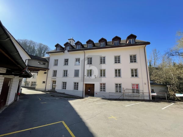 EINMALIGE GELEGENHEIT FÜR INVESTOREN 3