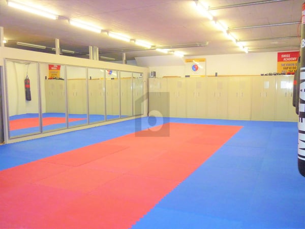 SALLE DE SPORT MULTIFONCTIONS 2