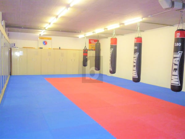 SALLE DE SPORT MULTIFONCTIONS 3