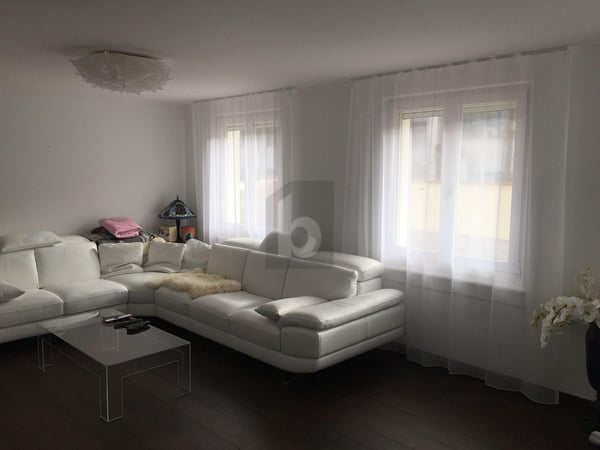 GROSSZÜGIG MIT GARTEN 2