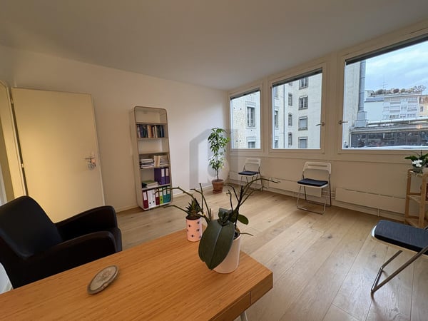 AU COEUR DES EAUX-VIVES ENTIEREMENT RENOVE 1