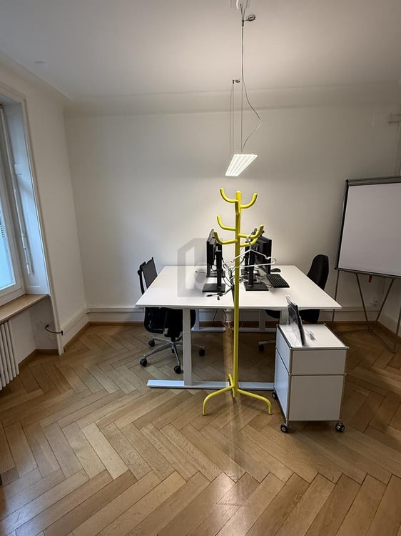 AN ZENTRALER LAGE MIT FISCHGRÄTPARKETT 3