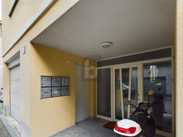 NON PIU' DISPONIBILE 3