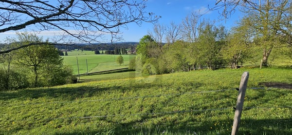 DERNIÈRE PARCELLE DISPONIBLE 1