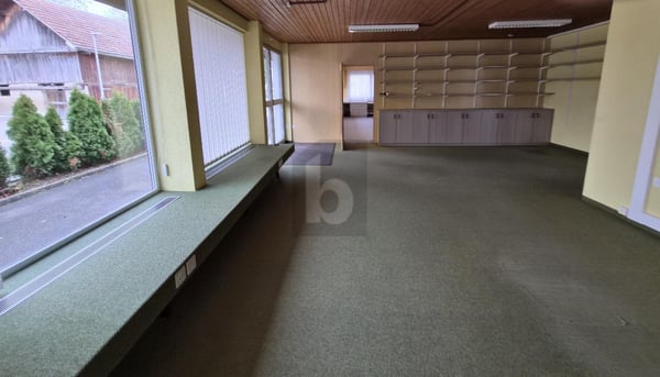 GROSSZÜGIG UND VIELSEITIGE, IM DORFZENTRUM 4