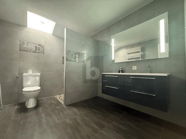 VUE IMPRENABLE, TRÈS SPACIEUSE 5