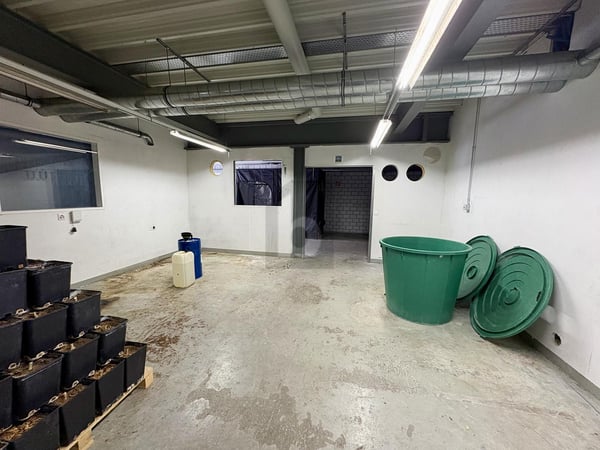 VIELSEITIG NUTZBARE FLÄCHE 3