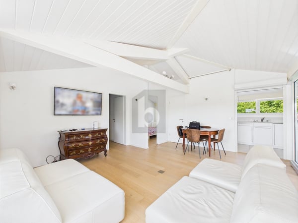 ESPACE LUMINEUX ET MEUBLÉ 2