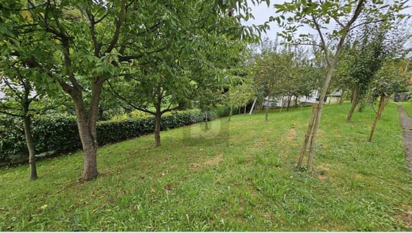 WOHNOASE MIT GARTENPARADIES 5