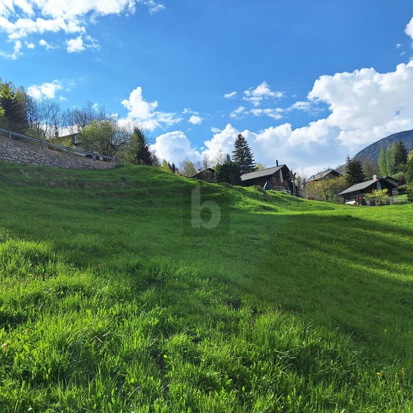 IN POSIZIONE TRANQUILLA E SOLEGGIATA CON VISTA 4