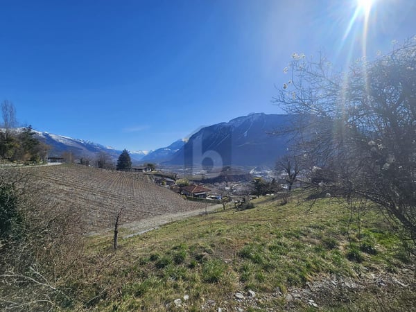 AVEC VUE SUR LA MONTAGNE ET PERMIS 4