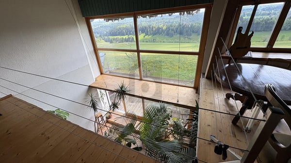 UNE VUE MAGNIFIQUE SUR LA NATURE 3