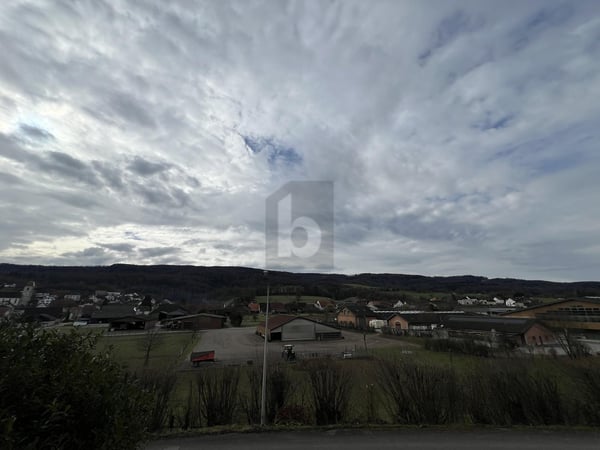 APPARTEMENT PRATIQUE ET LUMINEUX À CHEVENEZ 1