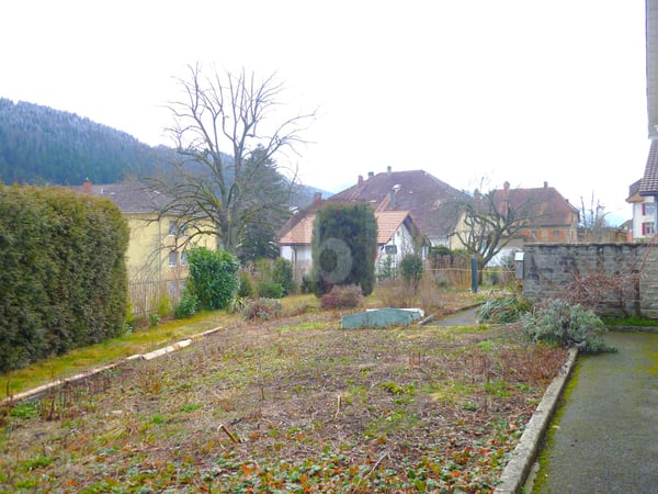 TERRAIN CONSTRUCTIBLE AVEC POTENTIEL INVESTISSEUR 3