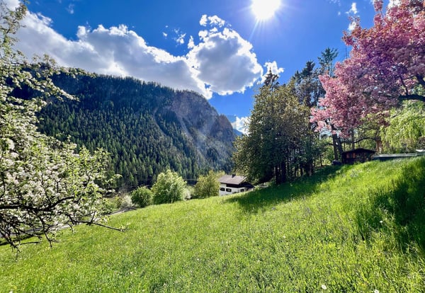 Vorschaubild der Immobilie