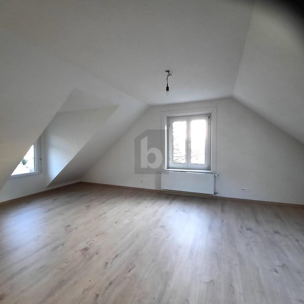 VILLA IM HERZEN VOM ZÜRICHBERG 4