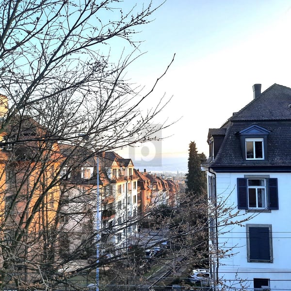 VILLA IM HERZEN VOM ZÜRICHBERG 5