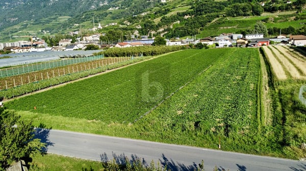 Vorschaubild der Immobilie