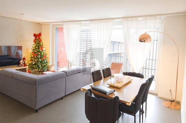 HAVRE DE PAIX LUMINEUX ORIENTÉ PLEIN SUD 3