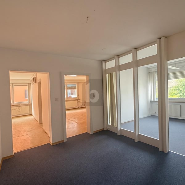 LUMINUEX, FLEXIBLE ET POLYVALENT 4