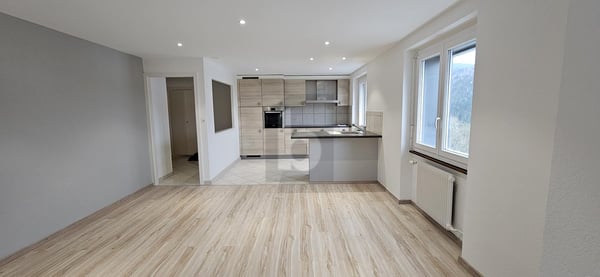 JOLIE VUE SUR LE LAC ET ENTIÉREMENT RÉNOVÉ 1