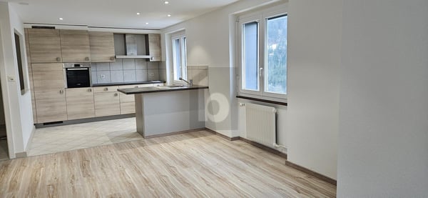 JOLIE VUE SUR LE LAC ET ENTIÉREMENT RÉNOVÉ 2