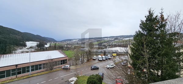 JOLIE VUE SUR LE LAC ET ENTIÉREMENT RÉNOVÉ 3