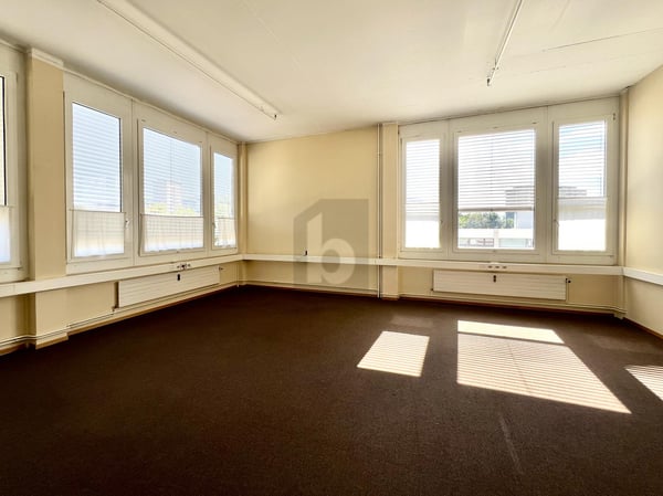 BUREAUX HAUTS DE PLAFOND FACE AU SALEVE 3