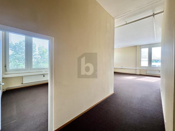 BUREAUX HAUTS DE PLAFOND FACE AU SALEVE 2