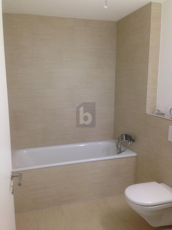 SONNIG UND MINERGIE-ZERTIFIZIERT MIT BALKON 5