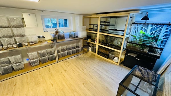 TRAUMLAGE MIT GESTALTUNGSSPIELRAUM 2