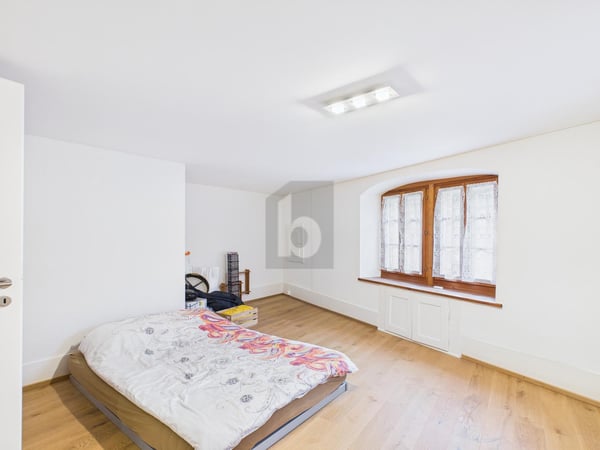 TRIPLEX DE CHARME AVEC JARDIN 5