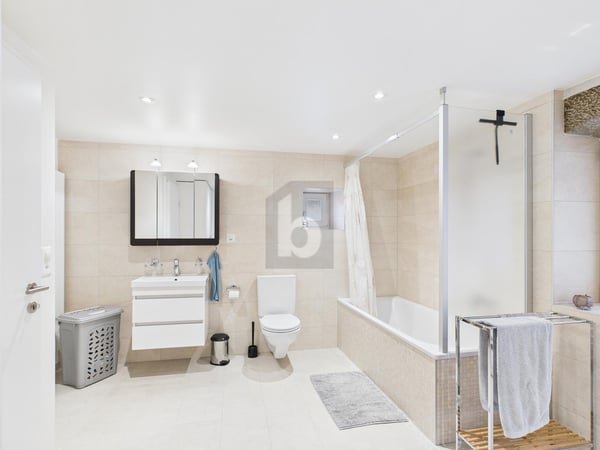 TRIPLEX DE CHARME AVEC JARDIN 3