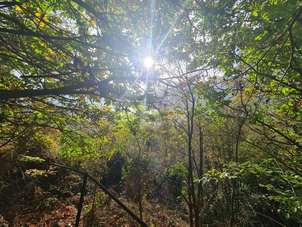 CON VISTA SPETTACOLARE 3