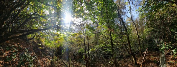 CON VISTA SPETTACOLARE 1