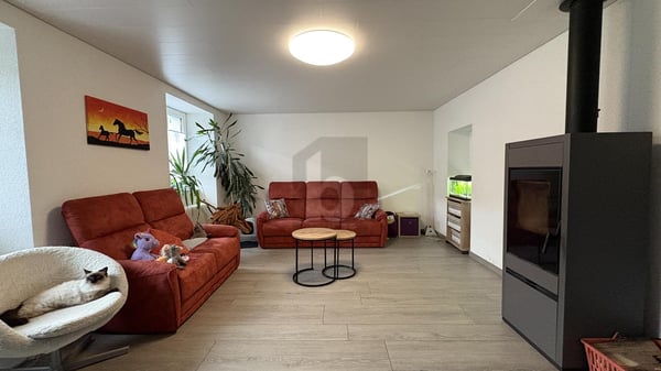 SPACIEUSE ENTIÉREMENT RÉNOVÉ AU CALME 4